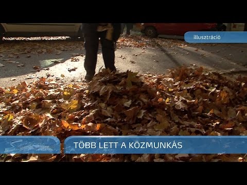Szegedi Hírek Több lett a közmunkás  2016.12.07.