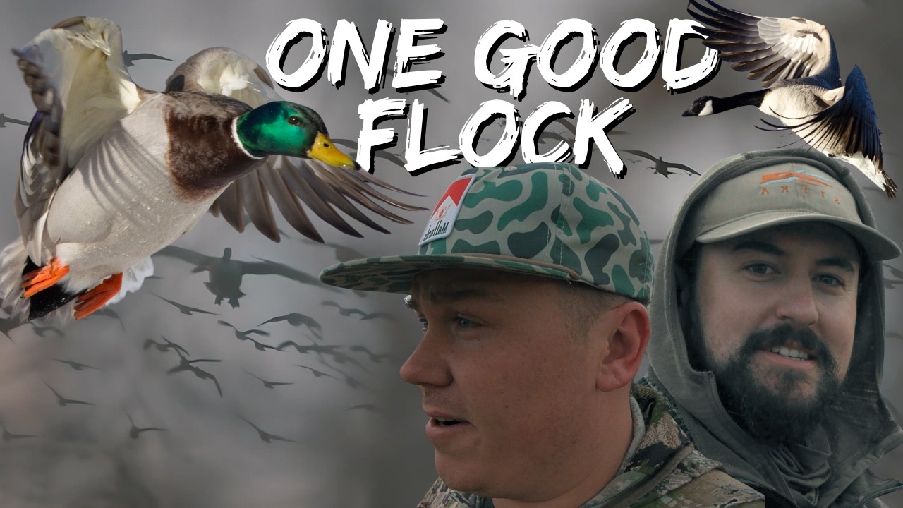 “One Good Flock” - Waterfowl Hunting the Missouri River Corridor