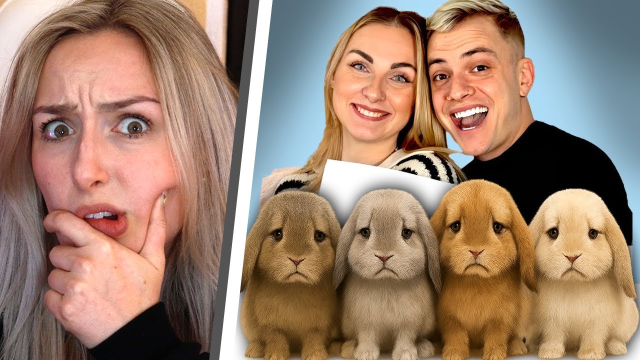 Diese Familyblogger setzten ihre Kaninchen zum Sterben im Wald aus?!