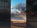 LLEGANDO A VILLA ADELINA #viralvideo #shortvideo #shortviral #shorts #fyp #fypyoutube #parati