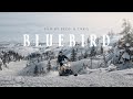 160 km backcountry snowmobile documentary in newfoundland canada  bluebird film