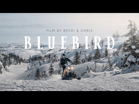 160 km Backcountry Snowmobile Documentary in Newfoundland, Canada | BLUEBIRD Film