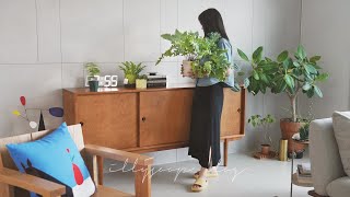 картинка: 🌱10 Прекрасных Растений для Уютного Интерьера с Растениями и Летнего Влога Домохозяйки 🌿💚