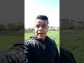 اغنية اللمبي حبيبي خسارة