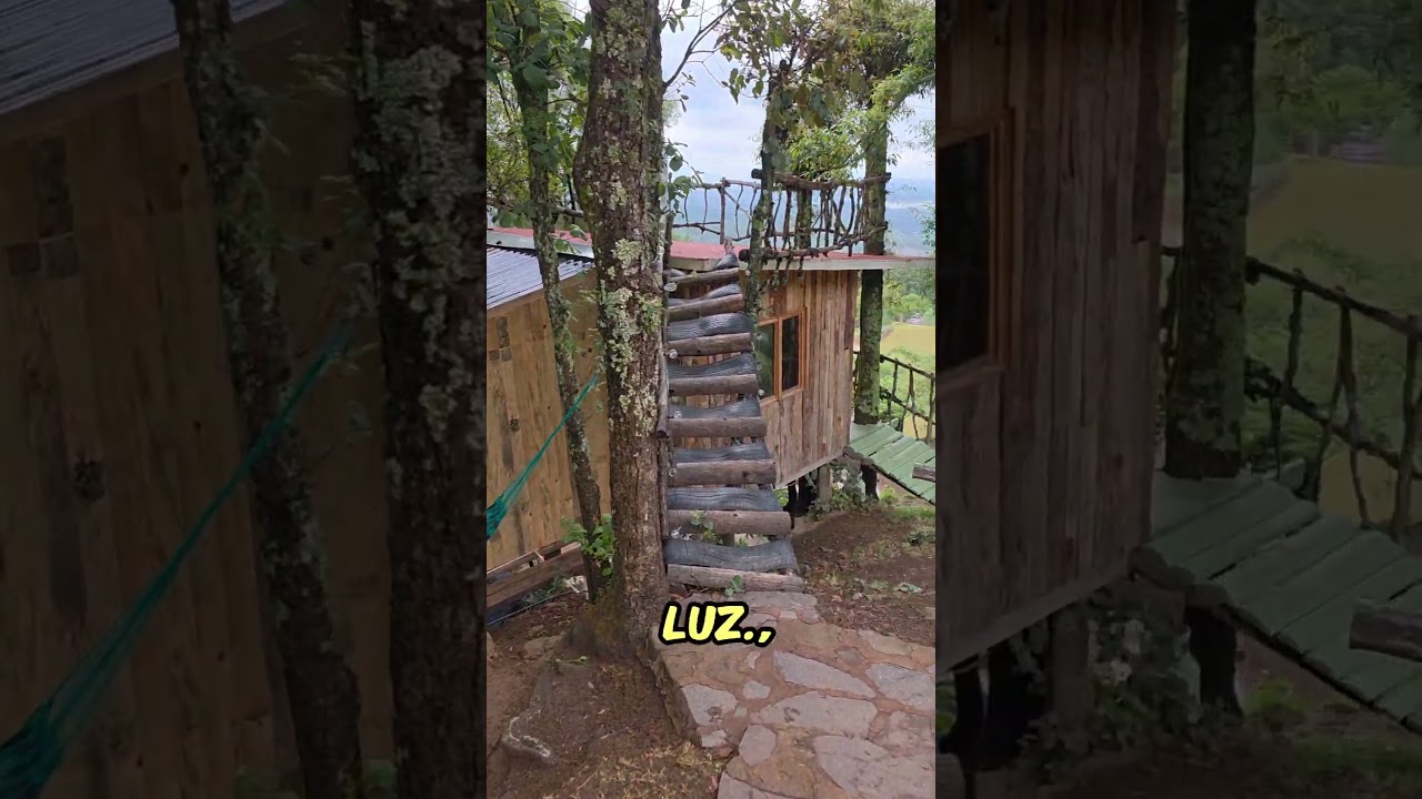 Vista previa del recorrido de Casita en el árbol con terraza