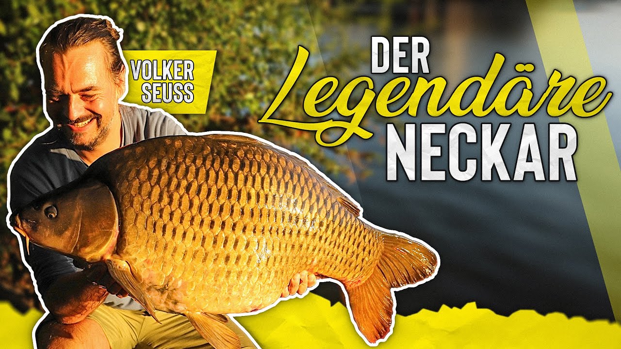 Flussangeln am Legendären Neckar | mit Volker Seuss