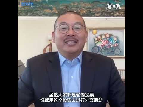 观察人士：联合国人权理事会选举充斥利益交换