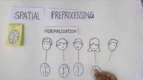 Protocol Video: Visual guide to functional MRI preprocessing using CONN toolbox