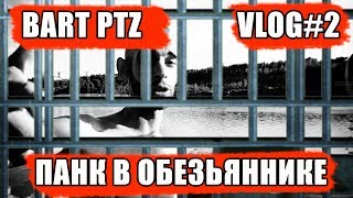 Bart Ptz Влог # 2 - Панк в обезьяннике (vlog#2)