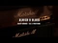 Tonerider Alnico II Blues for Strat TRS4 - Dirty Sounds