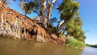 Famous miaree pool 2016 Wealth