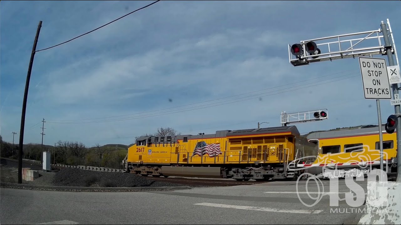 TSG Daily Train Catch 101223 