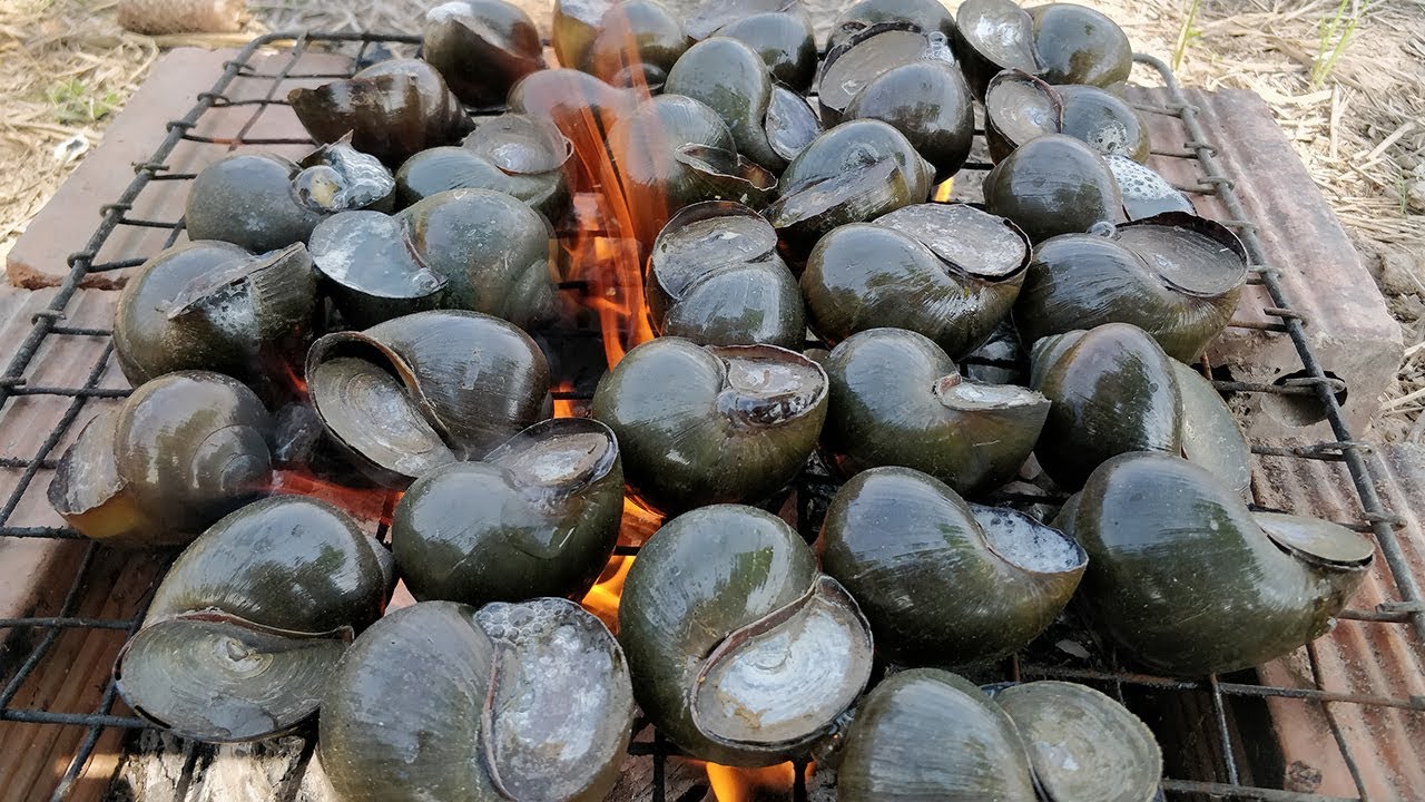 Grilled Snail Recipe / Simple River Snail Cooking With Yummy Sauce