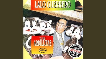Amor Chiquito