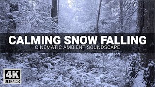 Calming Snow Falling - 8 Hours Winter Ambience of Relaxing Snowfall