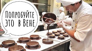 Стоит ли пробовать самый знаменитый торт Захер в Вене ? Demel Sachertorte Австрия #Авиамания