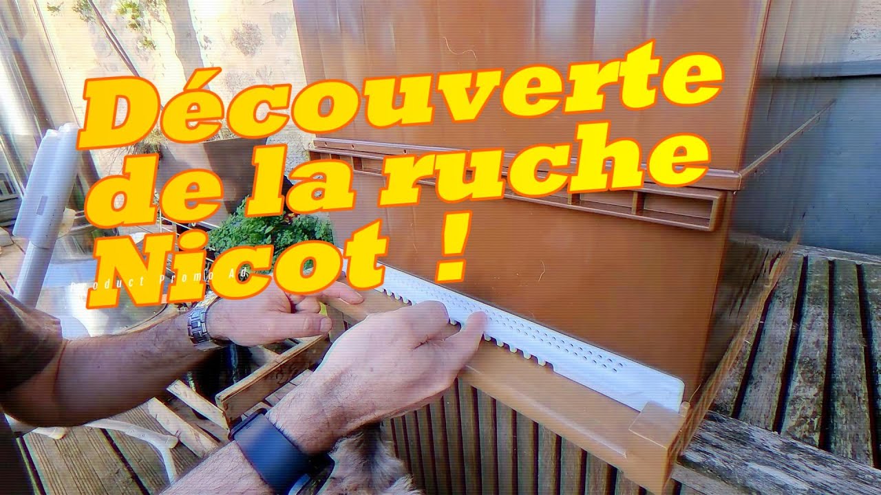 Découverte de la ruche Nicot!