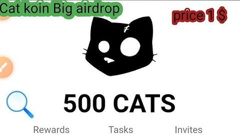 GET RICH NOW Cats Video Code | Start From ZERO cats code today | 7-8 October Cats All Video Codes