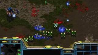 [FPVOD] Pvz python G2.....p3