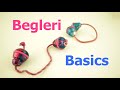 Begleri Basics. How To Get Started With Begleri.