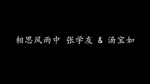 相思风雨中 张学友 & 汤宝如 (歌词版)
