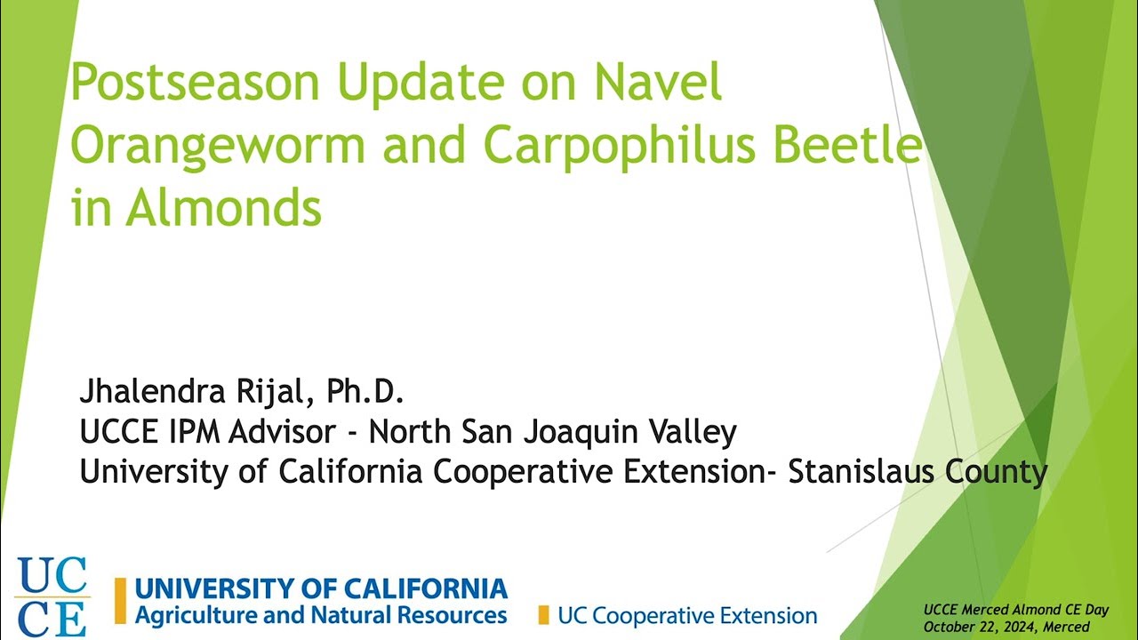 Almond CE Day 10/2024-Postseason Update on Navel Orangeworm and Carpophilus Beetle in Almonds