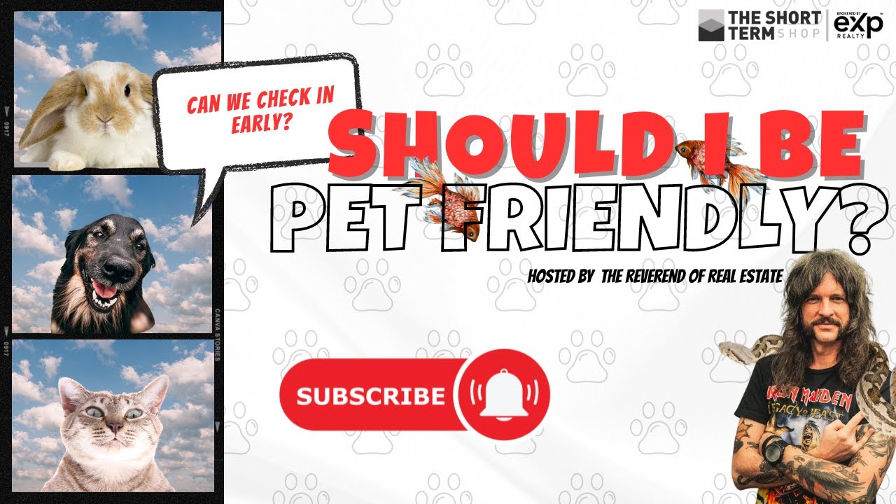 Should My Airbnb Be Pet Friendly? Short Term Rental Management YouTube