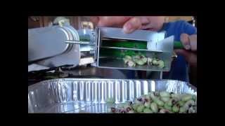 Pea Sheller, Jr. (Mr. Pea Sheller)
