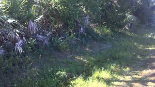 Lakewood Park Lots for Sale Ft Pierce Florida