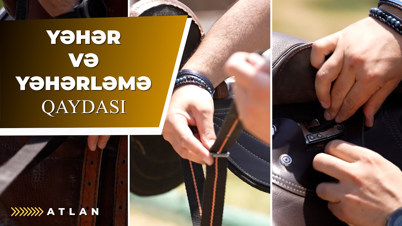 Yəhər və yəhərləmə qaydası - ATLAN