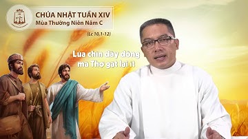 Lời Chúa - Chúa Nhật Tuần XIV Thường Niên C - 07/07/2019