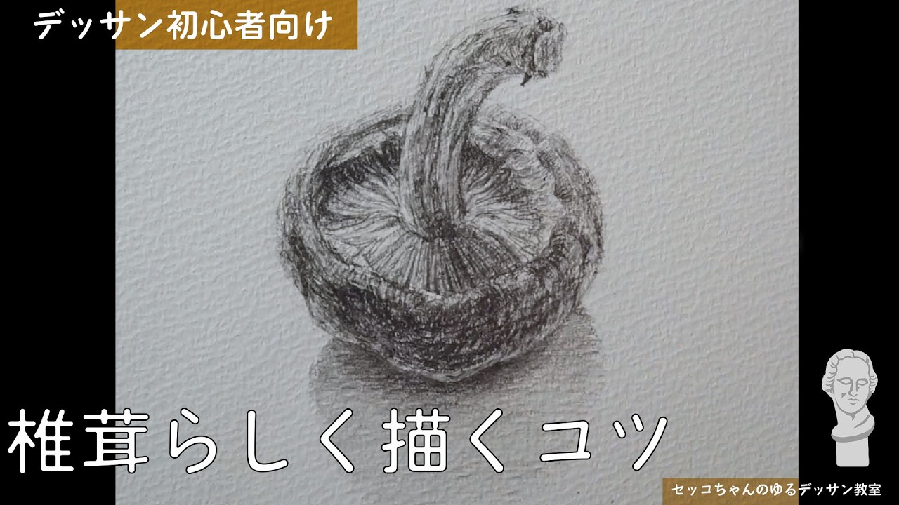 椎茸らしく描くコツ|初心者向けデッサン解説 - YouTube