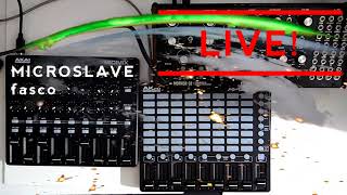 Microslave - Fasco Live