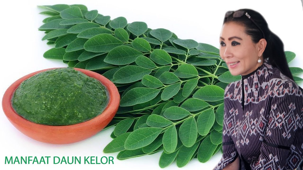 Ibu Julie Sutrisno Laiskodat : Manfaat Daun Kelor 