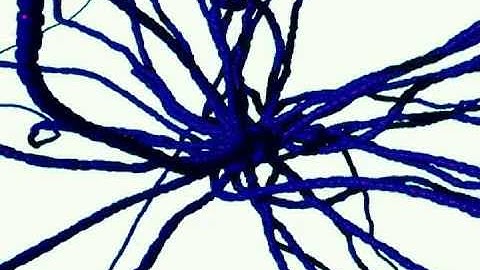 Tentacles.. kinda - Particle flow test