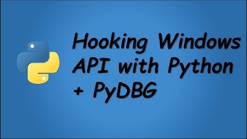 qHooK Demo (Windows API Hooking Script - Python + PyDBG) With Audio
