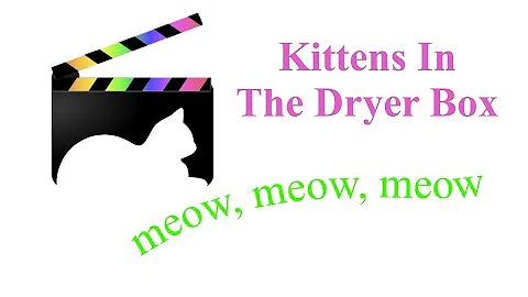 Watch the video about Three Clean Persian Kittens In The Pet Dryer Box