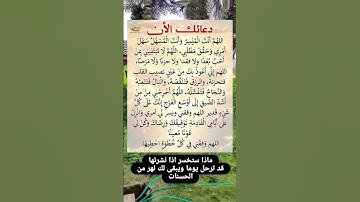 دعائك الان مستجاب باذن الله ردده🥹🤲#ستوريات_أدعية_دينية#ستوريات_دعاء_بدون_صوت#أدعية#تسبيح#أذكار
