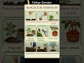 BAHÇECİLİK TERİMLERİ- GARDENING VOCABULARY
