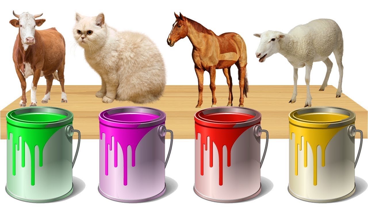 Wild Animals Bathing Colors Fun | Learn Animals Name and Sounds for Kids - Colors for Children