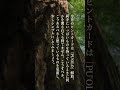 5月、自分が変わる月。過ごし方ヒント