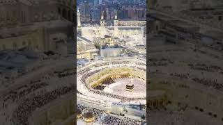 #amazing #video #new