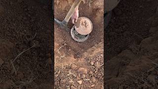 Ultimate Guide to extracting treasure from historical sites #treasurehunt #metaldetecting #adventure