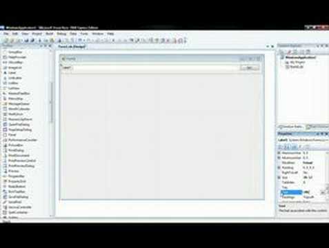 Learn How To Make A Simple Webbrowser In VB9 (2008)