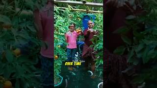 How Bangladesh Farmers Grow Food on Water 🌱🌊 #farming #bangladesh #floatinggarden #agriculture