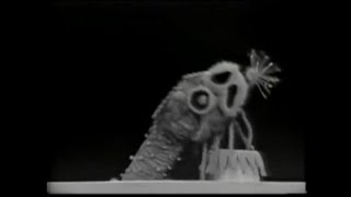 Sclrap Flyapp - The Muppets on The Mike Douglas Show (7/19/1966)