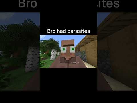 Minecraft Meme 