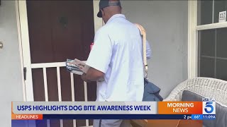 USPS highlighting National Dog Bite Awareness Campaign amid rise in attacks