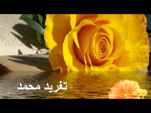 ياغريب بلدك انكشح بلدك تغريد محمد