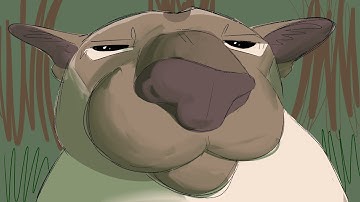 Mixed Messages // Part 10 // Appledusk - Mapleshade MAP